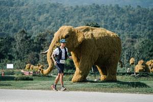 BIB: 
                            <button type="button" onclick="openModal(25903183)" class="btn btn-primary btn-sm float-right btn-popup" data-toggle="modal" data-target=".modal-high-quality">
                        <i class="fas fa-shopping-cart"></i> Add to Cart
                    </button>
                                            <button type="button" onclick="isThisMe(25903183, true)" class="btn btn-success btn-sm float-right btn-popup btn-isme hidden" data-toggle="tooltip" data-placement="bottom" title="นี่คือรูปของคุณใช่ไหม คลิกที่นี่เพื่อเอาเข้าอัลบั้ม">
                        <i class="fas fa-plus"></i> Add to album
                    </button>
                    <button type="button" onclick="isThisMe(25903183, false)" class="btn btn-warning btn-sm float-right btn-popup btn-isnotme hidden">
                        <i class="fas fa-ban"></i> Remove from album
                    </button>