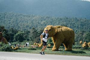 BIB: 
                            <button type="button" onclick="openModal(25932044)" class="btn btn-primary btn-sm float-right btn-popup" data-toggle="modal" data-target=".modal-high-quality">
                        <i class="fas fa-shopping-cart"></i> Add to Cart
                    </button>
                                            <button type="button" onclick="isThisMe(25932044, true)" class="btn btn-success btn-sm float-right btn-popup btn-isme hidden" data-toggle="tooltip" data-placement="bottom" title="นี่คือรูปของคุณใช่ไหม คลิกที่นี่เพื่อเอาเข้าอัลบั้ม">
                        <i class="fas fa-plus"></i> Add to album
                    </button>
                    <button type="button" onclick="isThisMe(25932044, false)" class="btn btn-warning btn-sm float-right btn-popup btn-isnotme hidden">
                        <i class="fas fa-ban"></i> Remove from album
                    </button>