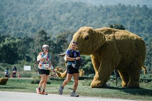 BIB: 
                            <button type="button" onclick="openModal(25975668)" class="btn btn-primary btn-sm float-right btn-popup" data-toggle="modal" data-target=".modal-high-quality">
                        <i class="fas fa-shopping-cart"></i> Add to Cart
                    </button>
                                            <button type="button" onclick="isThisMe(25975668, true)" class="btn btn-success btn-sm float-right btn-popup btn-isme hidden" data-toggle="tooltip" data-placement="bottom" title="นี่คือรูปของคุณใช่ไหม คลิกที่นี่เพื่อเอาเข้าอัลบั้ม">
                        <i class="fas fa-plus"></i> Add to album
                    </button>
                    <button type="button" onclick="isThisMe(25975668, false)" class="btn btn-warning btn-sm float-right btn-popup btn-isnotme hidden">
                        <i class="fas fa-ban"></i> Remove from album
                    </button>