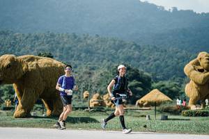 BIB: 
                            <button type="button" onclick="openModal(25942464)" class="btn btn-primary btn-sm float-right btn-popup" data-toggle="modal" data-target=".modal-high-quality">
                        <i class="fas fa-shopping-cart"></i> Add to Cart
                    </button>
                                            <button type="button" onclick="isThisMe(25942464, true)" class="btn btn-success btn-sm float-right btn-popup btn-isme hidden" data-toggle="tooltip" data-placement="bottom" title="นี่คือรูปของคุณใช่ไหม คลิกที่นี่เพื่อเอาเข้าอัลบั้ม">
                        <i class="fas fa-plus"></i> Add to album
                    </button>
                    <button type="button" onclick="isThisMe(25942464, false)" class="btn btn-warning btn-sm float-right btn-popup btn-isnotme hidden">
                        <i class="fas fa-ban"></i> Remove from album
                    </button>