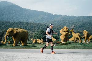 BIB: 
                            <button type="button" onclick="openModal(25872295)" class="btn btn-primary btn-sm float-right btn-popup" data-toggle="modal" data-target=".modal-high-quality">
                        <i class="fas fa-shopping-cart"></i> Add to Cart
                    </button>
                                            <button type="button" onclick="isThisMe(25872295, true)" class="btn btn-success btn-sm float-right btn-popup btn-isme hidden" data-toggle="tooltip" data-placement="bottom" title="นี่คือรูปของคุณใช่ไหม คลิกที่นี่เพื่อเอาเข้าอัลบั้ม">
                        <i class="fas fa-plus"></i> Add to album
                    </button>
                    <button type="button" onclick="isThisMe(25872295, false)" class="btn btn-warning btn-sm float-right btn-popup btn-isnotme hidden">
                        <i class="fas fa-ban"></i> Remove from album
                    </button>