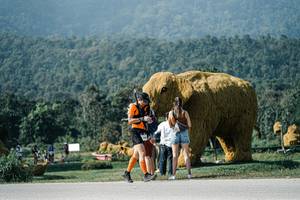 BIB: 
                            <button type="button" onclick="openModal(25884151)" class="btn btn-primary btn-sm float-right btn-popup" data-toggle="modal" data-target=".modal-high-quality">
                        <i class="fas fa-shopping-cart"></i> Add to Cart
                    </button>
                                            <button type="button" onclick="isThisMe(25884151, true)" class="btn btn-success btn-sm float-right btn-popup btn-isme hidden" data-toggle="tooltip" data-placement="bottom" title="นี่คือรูปของคุณใช่ไหม คลิกที่นี่เพื่อเอาเข้าอัลบั้ม">
                        <i class="fas fa-plus"></i> Add to album
                    </button>
                    <button type="button" onclick="isThisMe(25884151, false)" class="btn btn-warning btn-sm float-right btn-popup btn-isnotme hidden">
                        <i class="fas fa-ban"></i> Remove from album
                    </button>