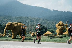 BIB: 
                            <button type="button" onclick="openModal(25954563)" class="btn btn-primary btn-sm float-right btn-popup" data-toggle="modal" data-target=".modal-high-quality">
                        <i class="fas fa-shopping-cart"></i> Add to Cart
                    </button>
                                            <button type="button" onclick="isThisMe(25954563, true)" class="btn btn-success btn-sm float-right btn-popup btn-isme hidden" data-toggle="tooltip" data-placement="bottom" title="นี่คือรูปของคุณใช่ไหม คลิกที่นี่เพื่อเอาเข้าอัลบั้ม">
                        <i class="fas fa-plus"></i> Add to album
                    </button>
                    <button type="button" onclick="isThisMe(25954563, false)" class="btn btn-warning btn-sm float-right btn-popup btn-isnotme hidden">
                        <i class="fas fa-ban"></i> Remove from album
                    </button>