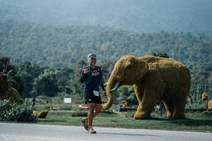 BIB: 
                            <button type="button" onclick="openModal(25967750)" class="btn btn-primary btn-sm float-right btn-popup" data-toggle="modal" data-target=".modal-high-quality">
                        <i class="fas fa-shopping-cart"></i> Add to Cart
                    </button>
                                            <button type="button" onclick="isThisMe(25967750, true)" class="btn btn-success btn-sm float-right btn-popup btn-isme hidden" data-toggle="tooltip" data-placement="bottom" title="นี่คือรูปของคุณใช่ไหม คลิกที่นี่เพื่อเอาเข้าอัลบั้ม">
                        <i class="fas fa-plus"></i> Add to album
                    </button>
                    <button type="button" onclick="isThisMe(25967750, false)" class="btn btn-warning btn-sm float-right btn-popup btn-isnotme hidden">
                        <i class="fas fa-ban"></i> Remove from album
                    </button>