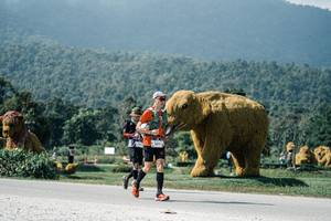 BIB: 
                            <button type="button" onclick="openModal(25920228)" class="btn btn-primary btn-sm float-right btn-popup" data-toggle="modal" data-target=".modal-high-quality">
                        <i class="fas fa-shopping-cart"></i> Add to Cart
                    </button>
                                            <button type="button" onclick="isThisMe(25920228, true)" class="btn btn-success btn-sm float-right btn-popup btn-isme hidden" data-toggle="tooltip" data-placement="bottom" title="นี่คือรูปของคุณใช่ไหม คลิกที่นี่เพื่อเอาเข้าอัลบั้ม">
                        <i class="fas fa-plus"></i> Add to album
                    </button>
                    <button type="button" onclick="isThisMe(25920228, false)" class="btn btn-warning btn-sm float-right btn-popup btn-isnotme hidden">
                        <i class="fas fa-ban"></i> Remove from album
                    </button>