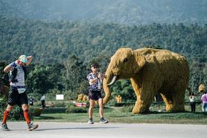 BIB: 
                            <button type="button" onclick="openModal(25883436)" class="btn btn-primary btn-sm float-right btn-popup" data-toggle="modal" data-target=".modal-high-quality">
                        <i class="fas fa-shopping-cart"></i> Add to Cart
                    </button>
                                            <button type="button" onclick="isThisMe(25883436, true)" class="btn btn-success btn-sm float-right btn-popup btn-isme hidden" data-toggle="tooltip" data-placement="bottom" title="นี่คือรูปของคุณใช่ไหม คลิกที่นี่เพื่อเอาเข้าอัลบั้ม">
                        <i class="fas fa-plus"></i> Add to album
                    </button>
                    <button type="button" onclick="isThisMe(25883436, false)" class="btn btn-warning btn-sm float-right btn-popup btn-isnotme hidden">
                        <i class="fas fa-ban"></i> Remove from album
                    </button>