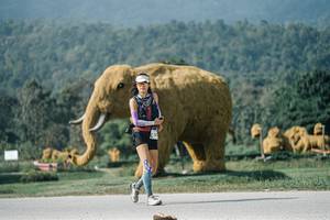 BIB: 
                            <button type="button" onclick="openModal(25900571)" class="btn btn-primary btn-sm float-right btn-popup" data-toggle="modal" data-target=".modal-high-quality">
                        <i class="fas fa-shopping-cart"></i> Add to Cart
                    </button>
                                            <button type="button" onclick="isThisMe(25900571, true)" class="btn btn-success btn-sm float-right btn-popup btn-isme hidden" data-toggle="tooltip" data-placement="bottom" title="นี่คือรูปของคุณใช่ไหม คลิกที่นี่เพื่อเอาเข้าอัลบั้ม">
                        <i class="fas fa-plus"></i> Add to album
                    </button>
                    <button type="button" onclick="isThisMe(25900571, false)" class="btn btn-warning btn-sm float-right btn-popup btn-isnotme hidden">
                        <i class="fas fa-ban"></i> Remove from album
                    </button>