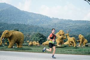 BIB: 
                            <button type="button" onclick="openModal(25869944)" class="btn btn-primary btn-sm float-right btn-popup" data-toggle="modal" data-target=".modal-high-quality">
                        <i class="fas fa-shopping-cart"></i> Add to Cart
                    </button>
                                            <button type="button" onclick="isThisMe(25869944, true)" class="btn btn-success btn-sm float-right btn-popup btn-isme hidden" data-toggle="tooltip" data-placement="bottom" title="นี่คือรูปของคุณใช่ไหม คลิกที่นี่เพื่อเอาเข้าอัลบั้ม">
                        <i class="fas fa-plus"></i> Add to album
                    </button>
                    <button type="button" onclick="isThisMe(25869944, false)" class="btn btn-warning btn-sm float-right btn-popup btn-isnotme hidden">
                        <i class="fas fa-ban"></i> Remove from album
                    </button>