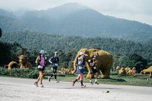 BIB: 
                            <button type="button" onclick="openModal(25897425)" class="btn btn-primary btn-sm float-right btn-popup" data-toggle="modal" data-target=".modal-high-quality">
                        <i class="fas fa-shopping-cart"></i> Add to Cart
                    </button>
                                            <button type="button" onclick="isThisMe(25897425, true)" class="btn btn-success btn-sm float-right btn-popup btn-isme hidden" data-toggle="tooltip" data-placement="bottom" title="นี่คือรูปของคุณใช่ไหม คลิกที่นี่เพื่อเอาเข้าอัลบั้ม">
                        <i class="fas fa-plus"></i> Add to album
                    </button>
                    <button type="button" onclick="isThisMe(25897425, false)" class="btn btn-warning btn-sm float-right btn-popup btn-isnotme hidden">
                        <i class="fas fa-ban"></i> Remove from album
                    </button>