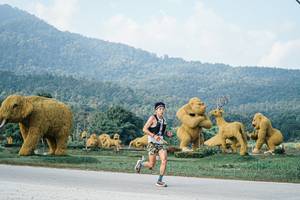 BIB: 
                            <button type="button" onclick="openModal(25869811)" class="btn btn-primary btn-sm float-right btn-popup" data-toggle="modal" data-target=".modal-high-quality">
                        <i class="fas fa-shopping-cart"></i> Add to Cart
                    </button>
                                            <button type="button" onclick="isThisMe(25869811, true)" class="btn btn-success btn-sm float-right btn-popup btn-isme hidden" data-toggle="tooltip" data-placement="bottom" title="นี่คือรูปของคุณใช่ไหม คลิกที่นี่เพื่อเอาเข้าอัลบั้ม">
                        <i class="fas fa-plus"></i> Add to album
                    </button>
                    <button type="button" onclick="isThisMe(25869811, false)" class="btn btn-warning btn-sm float-right btn-popup btn-isnotme hidden">
                        <i class="fas fa-ban"></i> Remove from album
                    </button>