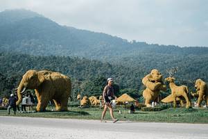 BIB: 
                            <button type="button" onclick="openModal(25876439)" class="btn btn-primary btn-sm float-right btn-popup" data-toggle="modal" data-target=".modal-high-quality">
                        <i class="fas fa-shopping-cart"></i> Add to Cart
                    </button>
                                            <button type="button" onclick="isThisMe(25876439, true)" class="btn btn-success btn-sm float-right btn-popup btn-isme hidden" data-toggle="tooltip" data-placement="bottom" title="นี่คือรูปของคุณใช่ไหม คลิกที่นี่เพื่อเอาเข้าอัลบั้ม">
                        <i class="fas fa-plus"></i> Add to album
                    </button>
                    <button type="button" onclick="isThisMe(25876439, false)" class="btn btn-warning btn-sm float-right btn-popup btn-isnotme hidden">
                        <i class="fas fa-ban"></i> Remove from album
                    </button>