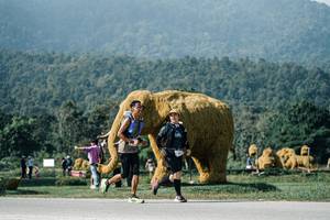 BIB: 
                            <button type="button" onclick="openModal(25882663)" class="btn btn-primary btn-sm float-right btn-popup" data-toggle="modal" data-target=".modal-high-quality">
                        <i class="fas fa-shopping-cart"></i> Add to Cart
                    </button>
                                            <button type="button" onclick="isThisMe(25882663, true)" class="btn btn-success btn-sm float-right btn-popup btn-isme hidden" data-toggle="tooltip" data-placement="bottom" title="นี่คือรูปของคุณใช่ไหม คลิกที่นี่เพื่อเอาเข้าอัลบั้ม">
                        <i class="fas fa-plus"></i> Add to album
                    </button>
                    <button type="button" onclick="isThisMe(25882663, false)" class="btn btn-warning btn-sm float-right btn-popup btn-isnotme hidden">
                        <i class="fas fa-ban"></i> Remove from album
                    </button>