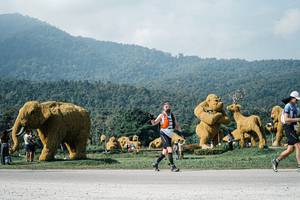 BIB: 
                            <button type="button" onclick="openModal(25882246)" class="btn btn-primary btn-sm float-right btn-popup" data-toggle="modal" data-target=".modal-high-quality">
                        <i class="fas fa-shopping-cart"></i> Add to Cart
                    </button>
                                            <button type="button" onclick="isThisMe(25882246, true)" class="btn btn-success btn-sm float-right btn-popup btn-isme hidden" data-toggle="tooltip" data-placement="bottom" title="นี่คือรูปของคุณใช่ไหม คลิกที่นี่เพื่อเอาเข้าอัลบั้ม">
                        <i class="fas fa-plus"></i> Add to album
                    </button>
                    <button type="button" onclick="isThisMe(25882246, false)" class="btn btn-warning btn-sm float-right btn-popup btn-isnotme hidden">
                        <i class="fas fa-ban"></i> Remove from album
                    </button>