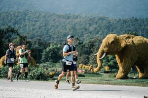 BIB: 
                            <button type="button" onclick="openModal(25894658)" class="btn btn-primary btn-sm float-right btn-popup" data-toggle="modal" data-target=".modal-high-quality">
                        <i class="fas fa-shopping-cart"></i> Add to Cart
                    </button>
                                            <button type="button" onclick="isThisMe(25894658, true)" class="btn btn-success btn-sm float-right btn-popup btn-isme hidden" data-toggle="tooltip" data-placement="bottom" title="นี่คือรูปของคุณใช่ไหม คลิกที่นี่เพื่อเอาเข้าอัลบั้ม">
                        <i class="fas fa-plus"></i> Add to album
                    </button>
                    <button type="button" onclick="isThisMe(25894658, false)" class="btn btn-warning btn-sm float-right btn-popup btn-isnotme hidden">
                        <i class="fas fa-ban"></i> Remove from album
                    </button>