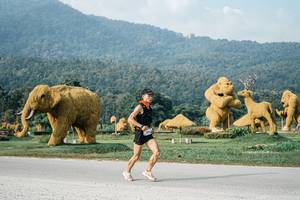 BIB: 
                            <button type="button" onclick="openModal(25870303)" class="btn btn-primary btn-sm float-right btn-popup" data-toggle="modal" data-target=".modal-high-quality">
                        <i class="fas fa-shopping-cart"></i> Add to Cart
                    </button>
                                            <button type="button" onclick="isThisMe(25870303, true)" class="btn btn-success btn-sm float-right btn-popup btn-isme hidden" data-toggle="tooltip" data-placement="bottom" title="นี่คือรูปของคุณใช่ไหม คลิกที่นี่เพื่อเอาเข้าอัลบั้ม">
                        <i class="fas fa-plus"></i> Add to album
                    </button>
                    <button type="button" onclick="isThisMe(25870303, false)" class="btn btn-warning btn-sm float-right btn-popup btn-isnotme hidden">
                        <i class="fas fa-ban"></i> Remove from album
                    </button>