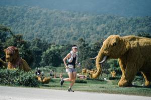 BIB: 
                            <button type="button" onclick="openModal(25935756)" class="btn btn-primary btn-sm float-right btn-popup" data-toggle="modal" data-target=".modal-high-quality">
                        <i class="fas fa-shopping-cart"></i> Add to Cart
                    </button>
                                            <button type="button" onclick="isThisMe(25935756, true)" class="btn btn-success btn-sm float-right btn-popup btn-isme hidden" data-toggle="tooltip" data-placement="bottom" title="นี่คือรูปของคุณใช่ไหม คลิกที่นี่เพื่อเอาเข้าอัลบั้ม">
                        <i class="fas fa-plus"></i> Add to album
                    </button>
                    <button type="button" onclick="isThisMe(25935756, false)" class="btn btn-warning btn-sm float-right btn-popup btn-isnotme hidden">
                        <i class="fas fa-ban"></i> Remove from album
                    </button>