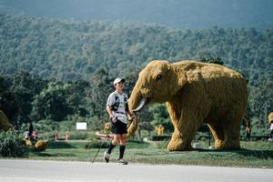 BIB: 
                            <button type="button" onclick="openModal(25920772)" class="btn btn-primary btn-sm float-right btn-popup" data-toggle="modal" data-target=".modal-high-quality">
                        <i class="fas fa-shopping-cart"></i> Add to Cart
                    </button>
                                            <button type="button" onclick="isThisMe(25920772, true)" class="btn btn-success btn-sm float-right btn-popup btn-isme hidden" data-toggle="tooltip" data-placement="bottom" title="นี่คือรูปของคุณใช่ไหม คลิกที่นี่เพื่อเอาเข้าอัลบั้ม">
                        <i class="fas fa-plus"></i> Add to album
                    </button>
                    <button type="button" onclick="isThisMe(25920772, false)" class="btn btn-warning btn-sm float-right btn-popup btn-isnotme hidden">
                        <i class="fas fa-ban"></i> Remove from album
                    </button>