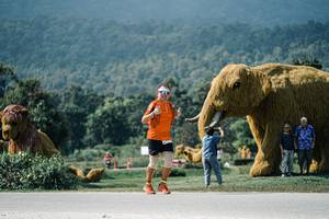 BIB: 
                            <button type="button" onclick="openModal(25940219)" class="btn btn-primary btn-sm float-right btn-popup" data-toggle="modal" data-target=".modal-high-quality">
                        <i class="fas fa-shopping-cart"></i> Add to Cart
                    </button>
                                            <button type="button" onclick="isThisMe(25940219, true)" class="btn btn-success btn-sm float-right btn-popup btn-isme hidden" data-toggle="tooltip" data-placement="bottom" title="นี่คือรูปของคุณใช่ไหม คลิกที่นี่เพื่อเอาเข้าอัลบั้ม">
                        <i class="fas fa-plus"></i> Add to album
                    </button>
                    <button type="button" onclick="isThisMe(25940219, false)" class="btn btn-warning btn-sm float-right btn-popup btn-isnotme hidden">
                        <i class="fas fa-ban"></i> Remove from album
                    </button>