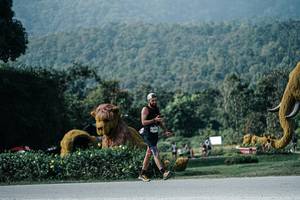 BIB: 
                            <button type="button" onclick="openModal(25892103)" class="btn btn-primary btn-sm float-right btn-popup" data-toggle="modal" data-target=".modal-high-quality">
                        <i class="fas fa-shopping-cart"></i> Add to Cart
                    </button>
                                            <button type="button" onclick="isThisMe(25892103, true)" class="btn btn-success btn-sm float-right btn-popup btn-isme hidden" data-toggle="tooltip" data-placement="bottom" title="นี่คือรูปของคุณใช่ไหม คลิกที่นี่เพื่อเอาเข้าอัลบั้ม">
                        <i class="fas fa-plus"></i> Add to album
                    </button>
                    <button type="button" onclick="isThisMe(25892103, false)" class="btn btn-warning btn-sm float-right btn-popup btn-isnotme hidden">
                        <i class="fas fa-ban"></i> Remove from album
                    </button>