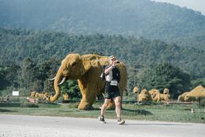 BIB: 
                            <button type="button" onclick="openModal(25886161)" class="btn btn-primary btn-sm float-right btn-popup" data-toggle="modal" data-target=".modal-high-quality">
                        <i class="fas fa-shopping-cart"></i> Add to Cart
                    </button>
                                            <button type="button" onclick="isThisMe(25886161, true)" class="btn btn-success btn-sm float-right btn-popup btn-isme hidden" data-toggle="tooltip" data-placement="bottom" title="นี่คือรูปของคุณใช่ไหม คลิกที่นี่เพื่อเอาเข้าอัลบั้ม">
                        <i class="fas fa-plus"></i> Add to album
                    </button>
                    <button type="button" onclick="isThisMe(25886161, false)" class="btn btn-warning btn-sm float-right btn-popup btn-isnotme hidden">
                        <i class="fas fa-ban"></i> Remove from album
                    </button>