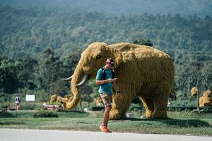 BIB: 
                            <button type="button" onclick="openModal(25929748)" class="btn btn-primary btn-sm float-right btn-popup" data-toggle="modal" data-target=".modal-high-quality">
                        <i class="fas fa-shopping-cart"></i> Add to Cart
                    </button>
                                            <button type="button" onclick="isThisMe(25929748, true)" class="btn btn-success btn-sm float-right btn-popup btn-isme hidden" data-toggle="tooltip" data-placement="bottom" title="นี่คือรูปของคุณใช่ไหม คลิกที่นี่เพื่อเอาเข้าอัลบั้ม">
                        <i class="fas fa-plus"></i> Add to album
                    </button>
                    <button type="button" onclick="isThisMe(25929748, false)" class="btn btn-warning btn-sm float-right btn-popup btn-isnotme hidden">
                        <i class="fas fa-ban"></i> Remove from album
                    </button>