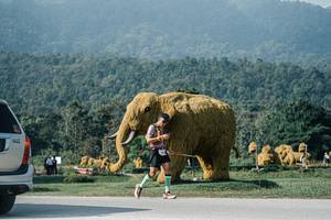 BIB: 
                            <button type="button" onclick="openModal(25877333)" class="btn btn-primary btn-sm float-right btn-popup" data-toggle="modal" data-target=".modal-high-quality">
                        <i class="fas fa-shopping-cart"></i> Add to Cart
                    </button>
                                            <button type="button" onclick="isThisMe(25877333, true)" class="btn btn-success btn-sm float-right btn-popup btn-isme hidden" data-toggle="tooltip" data-placement="bottom" title="นี่คือรูปของคุณใช่ไหม คลิกที่นี่เพื่อเอาเข้าอัลบั้ม">
                        <i class="fas fa-plus"></i> Add to album
                    </button>
                    <button type="button" onclick="isThisMe(25877333, false)" class="btn btn-warning btn-sm float-right btn-popup btn-isnotme hidden">
                        <i class="fas fa-ban"></i> Remove from album
                    </button>