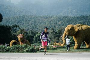 BIB: 
                            <button type="button" onclick="openModal(25883751)" class="btn btn-primary btn-sm float-right btn-popup" data-toggle="modal" data-target=".modal-high-quality">
                        <i class="fas fa-shopping-cart"></i> Add to Cart
                    </button>
                                            <button type="button" onclick="isThisMe(25883751, true)" class="btn btn-success btn-sm float-right btn-popup btn-isme hidden" data-toggle="tooltip" data-placement="bottom" title="นี่คือรูปของคุณใช่ไหม คลิกที่นี่เพื่อเอาเข้าอัลบั้ม">
                        <i class="fas fa-plus"></i> Add to album
                    </button>
                    <button type="button" onclick="isThisMe(25883751, false)" class="btn btn-warning btn-sm float-right btn-popup btn-isnotme hidden">
                        <i class="fas fa-ban"></i> Remove from album
                    </button>