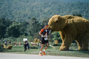 BIB: 
                            <button type="button" onclick="openModal(25958786)" class="btn btn-primary btn-sm float-right btn-popup" data-toggle="modal" data-target=".modal-high-quality">
                        <i class="fas fa-shopping-cart"></i> Add to Cart
                    </button>
                                            <button type="button" onclick="isThisMe(25958786, true)" class="btn btn-success btn-sm float-right btn-popup btn-isme hidden" data-toggle="tooltip" data-placement="bottom" title="นี่คือรูปของคุณใช่ไหม คลิกที่นี่เพื่อเอาเข้าอัลบั้ม">
                        <i class="fas fa-plus"></i> Add to album
                    </button>
                    <button type="button" onclick="isThisMe(25958786, false)" class="btn btn-warning btn-sm float-right btn-popup btn-isnotme hidden">
                        <i class="fas fa-ban"></i> Remove from album
                    </button>