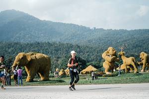 BIB: 
                            <button type="button" onclick="openModal(25881487)" class="btn btn-primary btn-sm float-right btn-popup" data-toggle="modal" data-target=".modal-high-quality">
                        <i class="fas fa-shopping-cart"></i> Add to Cart
                    </button>
                                            <button type="button" onclick="isThisMe(25881487, true)" class="btn btn-success btn-sm float-right btn-popup btn-isme hidden" data-toggle="tooltip" data-placement="bottom" title="นี่คือรูปของคุณใช่ไหม คลิกที่นี่เพื่อเอาเข้าอัลบั้ม">
                        <i class="fas fa-plus"></i> Add to album
                    </button>
                    <button type="button" onclick="isThisMe(25881487, false)" class="btn btn-warning btn-sm float-right btn-popup btn-isnotme hidden">
                        <i class="fas fa-ban"></i> Remove from album
                    </button>