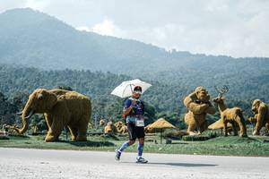 BIB: 
                            <button type="button" onclick="openModal(25983515)" class="btn btn-primary btn-sm float-right btn-popup" data-toggle="modal" data-target=".modal-high-quality">
                        <i class="fas fa-shopping-cart"></i> Add to Cart
                    </button>
                                            <button type="button" onclick="isThisMe(25983515, true)" class="btn btn-success btn-sm float-right btn-popup btn-isme hidden" data-toggle="tooltip" data-placement="bottom" title="นี่คือรูปของคุณใช่ไหม คลิกที่นี่เพื่อเอาเข้าอัลบั้ม">
                        <i class="fas fa-plus"></i> Add to album
                    </button>
                    <button type="button" onclick="isThisMe(25983515, false)" class="btn btn-warning btn-sm float-right btn-popup btn-isnotme hidden">
                        <i class="fas fa-ban"></i> Remove from album
                    </button>