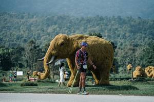 BIB: 
                            <button type="button" onclick="openModal(25930773)" class="btn btn-primary btn-sm float-right btn-popup" data-toggle="modal" data-target=".modal-high-quality">
                        <i class="fas fa-shopping-cart"></i> Add to Cart
                    </button>
                                            <button type="button" onclick="isThisMe(25930773, true)" class="btn btn-success btn-sm float-right btn-popup btn-isme hidden" data-toggle="tooltip" data-placement="bottom" title="นี่คือรูปของคุณใช่ไหม คลิกที่นี่เพื่อเอาเข้าอัลบั้ม">
                        <i class="fas fa-plus"></i> Add to album
                    </button>
                    <button type="button" onclick="isThisMe(25930773, false)" class="btn btn-warning btn-sm float-right btn-popup btn-isnotme hidden">
                        <i class="fas fa-ban"></i> Remove from album
                    </button>