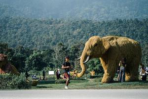 BIB: 
                            <button type="button" onclick="openModal(25883136)" class="btn btn-primary btn-sm float-right btn-popup" data-toggle="modal" data-target=".modal-high-quality">
                        <i class="fas fa-shopping-cart"></i> Add to Cart
                    </button>
                                            <button type="button" onclick="isThisMe(25883136, true)" class="btn btn-success btn-sm float-right btn-popup btn-isme hidden" data-toggle="tooltip" data-placement="bottom" title="นี่คือรูปของคุณใช่ไหม คลิกที่นี่เพื่อเอาเข้าอัลบั้ม">
                        <i class="fas fa-plus"></i> Add to album
                    </button>
                    <button type="button" onclick="isThisMe(25883136, false)" class="btn btn-warning btn-sm float-right btn-popup btn-isnotme hidden">
                        <i class="fas fa-ban"></i> Remove from album
                    </button>