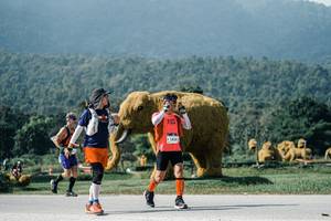 BIB: 
                            <button type="button" onclick="openModal(25915443)" class="btn btn-primary btn-sm float-right btn-popup" data-toggle="modal" data-target=".modal-high-quality">
                        <i class="fas fa-shopping-cart"></i> Add to Cart
                    </button>
                                            <button type="button" onclick="isThisMe(25915443, true)" class="btn btn-success btn-sm float-right btn-popup btn-isme hidden" data-toggle="tooltip" data-placement="bottom" title="นี่คือรูปของคุณใช่ไหม คลิกที่นี่เพื่อเอาเข้าอัลบั้ม">
                        <i class="fas fa-plus"></i> Add to album
                    </button>
                    <button type="button" onclick="isThisMe(25915443, false)" class="btn btn-warning btn-sm float-right btn-popup btn-isnotme hidden">
                        <i class="fas fa-ban"></i> Remove from album
                    </button>