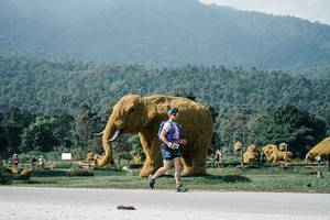 BIB: 
                            <button type="button" onclick="openModal(25906801)" class="btn btn-primary btn-sm float-right btn-popup" data-toggle="modal" data-target=".modal-high-quality">
                        <i class="fas fa-shopping-cart"></i> Add to Cart
                    </button>
                                            <button type="button" onclick="isThisMe(25906801, true)" class="btn btn-success btn-sm float-right btn-popup btn-isme hidden" data-toggle="tooltip" data-placement="bottom" title="นี่คือรูปของคุณใช่ไหม คลิกที่นี่เพื่อเอาเข้าอัลบั้ม">
                        <i class="fas fa-plus"></i> Add to album
                    </button>
                    <button type="button" onclick="isThisMe(25906801, false)" class="btn btn-warning btn-sm float-right btn-popup btn-isnotme hidden">
                        <i class="fas fa-ban"></i> Remove from album
                    </button>