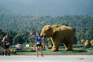 BIB: 
                            <button type="button" onclick="openModal(25909589)" class="btn btn-primary btn-sm float-right btn-popup" data-toggle="modal" data-target=".modal-high-quality">
                        <i class="fas fa-shopping-cart"></i> Add to Cart
                    </button>
                                            <button type="button" onclick="isThisMe(25909589, true)" class="btn btn-success btn-sm float-right btn-popup btn-isme hidden" data-toggle="tooltip" data-placement="bottom" title="นี่คือรูปของคุณใช่ไหม คลิกที่นี่เพื่อเอาเข้าอัลบั้ม">
                        <i class="fas fa-plus"></i> Add to album
                    </button>
                    <button type="button" onclick="isThisMe(25909589, false)" class="btn btn-warning btn-sm float-right btn-popup btn-isnotme hidden">
                        <i class="fas fa-ban"></i> Remove from album
                    </button>