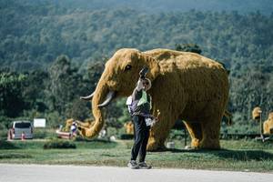 BIB: 
                            <button type="button" onclick="openModal(25930005)" class="btn btn-primary btn-sm float-right btn-popup" data-toggle="modal" data-target=".modal-high-quality">
                        <i class="fas fa-shopping-cart"></i> Add to Cart
                    </button>
                                            <button type="button" onclick="isThisMe(25930005, true)" class="btn btn-success btn-sm float-right btn-popup btn-isme hidden" data-toggle="tooltip" data-placement="bottom" title="นี่คือรูปของคุณใช่ไหม คลิกที่นี่เพื่อเอาเข้าอัลบั้ม">
                        <i class="fas fa-plus"></i> Add to album
                    </button>
                    <button type="button" onclick="isThisMe(25930005, false)" class="btn btn-warning btn-sm float-right btn-popup btn-isnotme hidden">
                        <i class="fas fa-ban"></i> Remove from album
                    </button>