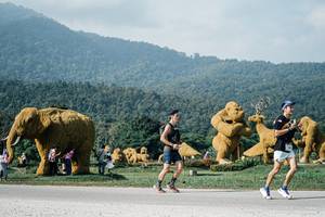 BIB: 
                            <button type="button" onclick="openModal(25874545)" class="btn btn-primary btn-sm float-right btn-popup" data-toggle="modal" data-target=".modal-high-quality">
                        <i class="fas fa-shopping-cart"></i> Add to Cart
                    </button>
                                            <button type="button" onclick="isThisMe(25874545, true)" class="btn btn-success btn-sm float-right btn-popup btn-isme hidden" data-toggle="tooltip" data-placement="bottom" title="นี่คือรูปของคุณใช่ไหม คลิกที่นี่เพื่อเอาเข้าอัลบั้ม">
                        <i class="fas fa-plus"></i> Add to album
                    </button>
                    <button type="button" onclick="isThisMe(25874545, false)" class="btn btn-warning btn-sm float-right btn-popup btn-isnotme hidden">
                        <i class="fas fa-ban"></i> Remove from album
                    </button>