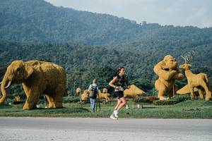 BIB: 
                            <button type="button" onclick="openModal(25870565)" class="btn btn-primary btn-sm float-right btn-popup" data-toggle="modal" data-target=".modal-high-quality">
                        <i class="fas fa-shopping-cart"></i> Add to Cart
                    </button>
                                            <button type="button" onclick="isThisMe(25870565, true)" class="btn btn-success btn-sm float-right btn-popup btn-isme hidden" data-toggle="tooltip" data-placement="bottom" title="นี่คือรูปของคุณใช่ไหม คลิกที่นี่เพื่อเอาเข้าอัลบั้ม">
                        <i class="fas fa-plus"></i> Add to album
                    </button>
                    <button type="button" onclick="isThisMe(25870565, false)" class="btn btn-warning btn-sm float-right btn-popup btn-isnotme hidden">
                        <i class="fas fa-ban"></i> Remove from album
                    </button>