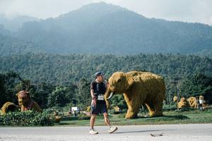 BIB: 
                            <button type="button" onclick="openModal(25889270)" class="btn btn-primary btn-sm float-right btn-popup" data-toggle="modal" data-target=".modal-high-quality">
                        <i class="fas fa-shopping-cart"></i> Add to Cart
                    </button>
                                            <button type="button" onclick="isThisMe(25889270, true)" class="btn btn-success btn-sm float-right btn-popup btn-isme hidden" data-toggle="tooltip" data-placement="bottom" title="นี่คือรูปของคุณใช่ไหม คลิกที่นี่เพื่อเอาเข้าอัลบั้ม">
                        <i class="fas fa-plus"></i> Add to album
                    </button>
                    <button type="button" onclick="isThisMe(25889270, false)" class="btn btn-warning btn-sm float-right btn-popup btn-isnotme hidden">
                        <i class="fas fa-ban"></i> Remove from album
                    </button>