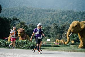 BIB: 
                            <button type="button" onclick="openModal(25895669)" class="btn btn-primary btn-sm float-right btn-popup" data-toggle="modal" data-target=".modal-high-quality">
                        <i class="fas fa-shopping-cart"></i> Add to Cart
                    </button>
                                            <button type="button" onclick="isThisMe(25895669, true)" class="btn btn-success btn-sm float-right btn-popup btn-isme hidden" data-toggle="tooltip" data-placement="bottom" title="นี่คือรูปของคุณใช่ไหม คลิกที่นี่เพื่อเอาเข้าอัลบั้ม">
                        <i class="fas fa-plus"></i> Add to album
                    </button>
                    <button type="button" onclick="isThisMe(25895669, false)" class="btn btn-warning btn-sm float-right btn-popup btn-isnotme hidden">
                        <i class="fas fa-ban"></i> Remove from album
                    </button>