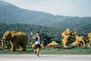 BIB: 
                            <button type="button" onclick="openModal(25872211)" class="btn btn-primary btn-sm float-right btn-popup" data-toggle="modal" data-target=".modal-high-quality">
                        <i class="fas fa-shopping-cart"></i> Add to Cart
                    </button>
                                            <button type="button" onclick="isThisMe(25872211, true)" class="btn btn-success btn-sm float-right btn-popup btn-isme hidden" data-toggle="tooltip" data-placement="bottom" title="นี่คือรูปของคุณใช่ไหม คลิกที่นี่เพื่อเอาเข้าอัลบั้ม">
                        <i class="fas fa-plus"></i> Add to album
                    </button>
                    <button type="button" onclick="isThisMe(25872211, false)" class="btn btn-warning btn-sm float-right btn-popup btn-isnotme hidden">
                        <i class="fas fa-ban"></i> Remove from album
                    </button>