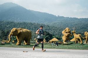 BIB: 
                            <button type="button" onclick="openModal(25892847)" class="btn btn-primary btn-sm float-right btn-popup" data-toggle="modal" data-target=".modal-high-quality">
                        <i class="fas fa-shopping-cart"></i> Add to Cart
                    </button>
                                            <button type="button" onclick="isThisMe(25892847, true)" class="btn btn-success btn-sm float-right btn-popup btn-isme hidden" data-toggle="tooltip" data-placement="bottom" title="นี่คือรูปของคุณใช่ไหม คลิกที่นี่เพื่อเอาเข้าอัลบั้ม">
                        <i class="fas fa-plus"></i> Add to album
                    </button>
                    <button type="button" onclick="isThisMe(25892847, false)" class="btn btn-warning btn-sm float-right btn-popup btn-isnotme hidden">
                        <i class="fas fa-ban"></i> Remove from album
                    </button>