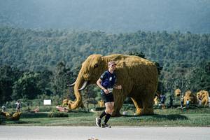 BIB: 
                            <button type="button" onclick="openModal(25905624)" class="btn btn-primary btn-sm float-right btn-popup" data-toggle="modal" data-target=".modal-high-quality">
                        <i class="fas fa-shopping-cart"></i> Add to Cart
                    </button>
                                            <button type="button" onclick="isThisMe(25905624, true)" class="btn btn-success btn-sm float-right btn-popup btn-isme hidden" data-toggle="tooltip" data-placement="bottom" title="นี่คือรูปของคุณใช่ไหม คลิกที่นี่เพื่อเอาเข้าอัลบั้ม">
                        <i class="fas fa-plus"></i> Add to album
                    </button>
                    <button type="button" onclick="isThisMe(25905624, false)" class="btn btn-warning btn-sm float-right btn-popup btn-isnotme hidden">
                        <i class="fas fa-ban"></i> Remove from album
                    </button>