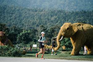 BIB: 
                            <button type="button" onclick="openModal(25873611)" class="btn btn-primary btn-sm float-right btn-popup" data-toggle="modal" data-target=".modal-high-quality">
                        <i class="fas fa-shopping-cart"></i> Add to Cart
                    </button>
                                            <button type="button" onclick="isThisMe(25873611, true)" class="btn btn-success btn-sm float-right btn-popup btn-isme hidden" data-toggle="tooltip" data-placement="bottom" title="นี่คือรูปของคุณใช่ไหม คลิกที่นี่เพื่อเอาเข้าอัลบั้ม">
                        <i class="fas fa-plus"></i> Add to album
                    </button>
                    <button type="button" onclick="isThisMe(25873611, false)" class="btn btn-warning btn-sm float-right btn-popup btn-isnotme hidden">
                        <i class="fas fa-ban"></i> Remove from album
                    </button>