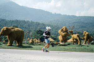 BIB: 
                            <button type="button" onclick="openModal(25971863)" class="btn btn-primary btn-sm float-right btn-popup" data-toggle="modal" data-target=".modal-high-quality">
                        <i class="fas fa-shopping-cart"></i> Add to Cart
                    </button>
                                            <button type="button" onclick="isThisMe(25971863, true)" class="btn btn-success btn-sm float-right btn-popup btn-isme hidden" data-toggle="tooltip" data-placement="bottom" title="นี่คือรูปของคุณใช่ไหม คลิกที่นี่เพื่อเอาเข้าอัลบั้ม">
                        <i class="fas fa-plus"></i> Add to album
                    </button>
                    <button type="button" onclick="isThisMe(25971863, false)" class="btn btn-warning btn-sm float-right btn-popup btn-isnotme hidden">
                        <i class="fas fa-ban"></i> Remove from album
                    </button>