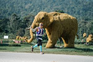 BIB: 
                            <button type="button" onclick="openModal(25902819)" class="btn btn-primary btn-sm float-right btn-popup" data-toggle="modal" data-target=".modal-high-quality">
                        <i class="fas fa-shopping-cart"></i> Add to Cart
                    </button>
                                            <button type="button" onclick="isThisMe(25902819, true)" class="btn btn-success btn-sm float-right btn-popup btn-isme hidden" data-toggle="tooltip" data-placement="bottom" title="นี่คือรูปของคุณใช่ไหม คลิกที่นี่เพื่อเอาเข้าอัลบั้ม">
                        <i class="fas fa-plus"></i> Add to album
                    </button>
                    <button type="button" onclick="isThisMe(25902819, false)" class="btn btn-warning btn-sm float-right btn-popup btn-isnotme hidden">
                        <i class="fas fa-ban"></i> Remove from album
                    </button>