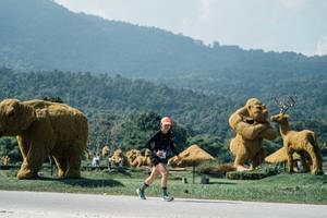 BIB: 
                            <button type="button" onclick="openModal(25967041)" class="btn btn-primary btn-sm float-right btn-popup" data-toggle="modal" data-target=".modal-high-quality">
                        <i class="fas fa-shopping-cart"></i> Add to Cart
                    </button>
                                            <button type="button" onclick="isThisMe(25967041, true)" class="btn btn-success btn-sm float-right btn-popup btn-isme hidden" data-toggle="tooltip" data-placement="bottom" title="นี่คือรูปของคุณใช่ไหม คลิกที่นี่เพื่อเอาเข้าอัลบั้ม">
                        <i class="fas fa-plus"></i> Add to album
                    </button>
                    <button type="button" onclick="isThisMe(25967041, false)" class="btn btn-warning btn-sm float-right btn-popup btn-isnotme hidden">
                        <i class="fas fa-ban"></i> Remove from album
                    </button>