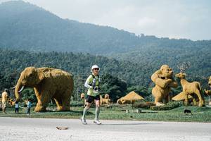 BIB: 
                            <button type="button" onclick="openModal(25890162)" class="btn btn-primary btn-sm float-right btn-popup" data-toggle="modal" data-target=".modal-high-quality">
                        <i class="fas fa-shopping-cart"></i> Add to Cart
                    </button>
                                            <button type="button" onclick="isThisMe(25890162, true)" class="btn btn-success btn-sm float-right btn-popup btn-isme hidden" data-toggle="tooltip" data-placement="bottom" title="นี่คือรูปของคุณใช่ไหม คลิกที่นี่เพื่อเอาเข้าอัลบั้ม">
                        <i class="fas fa-plus"></i> Add to album
                    </button>
                    <button type="button" onclick="isThisMe(25890162, false)" class="btn btn-warning btn-sm float-right btn-popup btn-isnotme hidden">
                        <i class="fas fa-ban"></i> Remove from album
                    </button>