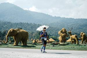 BIB: 
                            <button type="button" onclick="openModal(25983540)" class="btn btn-primary btn-sm float-right btn-popup" data-toggle="modal" data-target=".modal-high-quality">
                        <i class="fas fa-shopping-cart"></i> Add to Cart
                    </button>
                                            <button type="button" onclick="isThisMe(25983540, true)" class="btn btn-success btn-sm float-right btn-popup btn-isme hidden" data-toggle="tooltip" data-placement="bottom" title="นี่คือรูปของคุณใช่ไหม คลิกที่นี่เพื่อเอาเข้าอัลบั้ม">
                        <i class="fas fa-plus"></i> Add to album
                    </button>
                    <button type="button" onclick="isThisMe(25983540, false)" class="btn btn-warning btn-sm float-right btn-popup btn-isnotme hidden">
                        <i class="fas fa-ban"></i> Remove from album
                    </button>