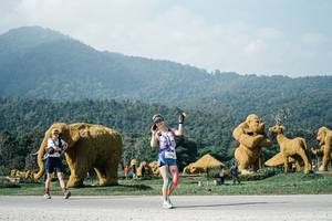 BIB: 
                            <button type="button" onclick="openModal(25884857)" class="btn btn-primary btn-sm float-right btn-popup" data-toggle="modal" data-target=".modal-high-quality">
                        <i class="fas fa-shopping-cart"></i> Add to Cart
                    </button>
                                            <button type="button" onclick="isThisMe(25884857, true)" class="btn btn-success btn-sm float-right btn-popup btn-isme hidden" data-toggle="tooltip" data-placement="bottom" title="นี่คือรูปของคุณใช่ไหม คลิกที่นี่เพื่อเอาเข้าอัลบั้ม">
                        <i class="fas fa-plus"></i> Add to album
                    </button>
                    <button type="button" onclick="isThisMe(25884857, false)" class="btn btn-warning btn-sm float-right btn-popup btn-isnotme hidden">
                        <i class="fas fa-ban"></i> Remove from album
                    </button>